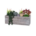 GloboStar® Artificial Garden SUCCULENT VARIUS PLANT POTTED 21033 Διακοσμητικό Φυτό Μίξ Μ29 x Π10 x Υ18cm