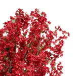 GloboStar® Artificial Garden AZALEA TREE 21059 Τεχνητό Διακοσμητικό Δέντρο Αζαλέα Μ230 x Π230 x Υ300cm - Image 2
