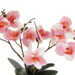 GloboStar® Artificial Garden PINK ORCHID 21075 Διακοσμητικό Φυτό Ροζ Ορχιδέα  Υ30cm - Image 2