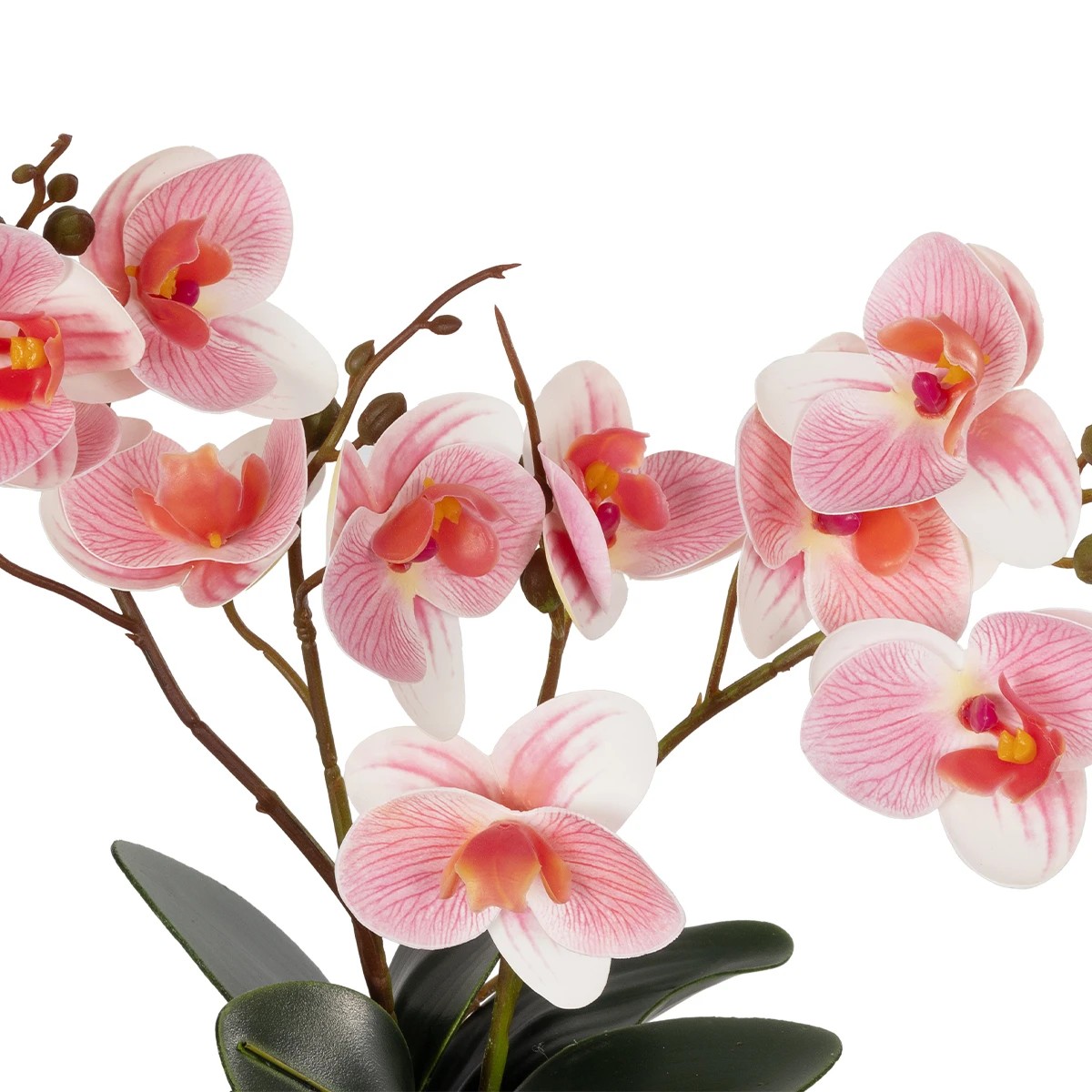 GloboStar® Artificial Garden PINK ORCHID 21075 Διακοσμητικό Φυτό Ροζ Ορχιδέα Υ30cm - Image 2