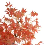 GloboStar® Artificial Garden MAPLE TREE 21105 Τεχνητό Διακοσμητικό Δέντρο Σφένδαμος Μ80 x Π80 x Υ160cm - Image 2