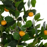 GloboStar® Artificial Garden ORANGE TREE 21108 Τεχνητό Διακοσμητικό Δέντρο Πορτοκαλιά Μ70 x Π50 x Υ120cm - Image 2