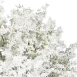 GloboStar® Artificial Garden ALMOND TREE 21114 Τεχνητό Διακοσμητικό Δέντρο Αμυγδαλιά Μ380 x Π380 x Υ300cm - Image 2