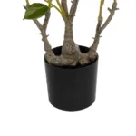 GloboStar® Artificial Garden CAMELIA 21115 Τεχνητό Διακοσμητικό Δέντρο Καμέλια Μ50 x Π30 x Υ90cm - Image 3