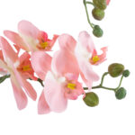 GloboStar® Artificial Garden SALMON PINK ORCHID 21129 Διακοσμητικό Φυτό Φούξια Ορχιδέα Υ43cm - Image 2