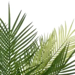 GloboStar® Artificial Garden PALM TREE 21153 Τεχνητό Διακοσμητικό Δέντρο Φοίνικας Μ100 x Π50 x Υ90cm - Image 2