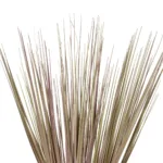 GloboStar® Artificial Garden BEIGE GRASS BOUQUET 21160 Τεχνητό Διακοσμητικό Μπουκέτο Grass Μπεζ Y70cm - Image 2