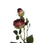 GloboStar® Artificial Garden RED DAMASK CLIMBING ROSE BRANCH 21197 Τεχνητό Διακοσμητικό Κλαδί Τριαντάφυλλο Κόκκινο Y55cm - Image 2