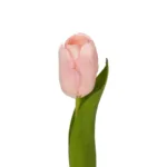 GloboStar® Artificial Garden PINK TULIP BRANCH 21200 Τεχνητό Διακοσμητικό Κλαδί Ροζ Τουλίπα Y37cm - Image 2