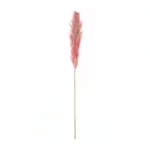 GloboStar® Artificial Garden PAMPAS GRASS 21218 Αποξηραμένο Διακοσμητικό Γρασίδι Πάμπας Μ10 x Π10 x Υ150cm