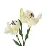 GloboStar® Artificial Garden WHITE LILLY BRANCH 21310 Τεχνητό Διακοσμητικό Κλαδί Λευκό Κρίνο Y90cm - Image 2