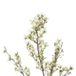 GloboStar® Artificial Garden WHITE FORSYTHIA BRANCH 21326 Τεχνητό Διακοσμητικό Λευκό Κλαδί Φορσύθιας Y83cm - Image 2