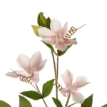 GloboStar® Artificial Garden PALE PINK CLEMANTIS BRANCH 21332 Τεχνητό Διακοσμητικό Κλαδί Ροζ Κλημεντίνα Y80cm - Image 2