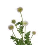 GloboStar® Artificial Garden PURPLE PINK BOUQET 21366 Τεχνητό Διακοσμητικό Ταραξάκο Μπουκέτο Y70cm - Image 2