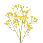 GloboStar® Artificial Garden YELLOW BRANCH BABY BREATH 21370 Τεχνητό Διακοσμητικό Κλαδί Κίτρινης Γυψοφίλης Y53cm - Image 2