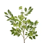 GloboStar® Artificial Garden GREEN EIGHT TREASURE FRUIT BRANCH 21373 Τεχνητό Διακοσμητικό Κλαδί Eight Tresure Πράσινο Y87cm - Image 2