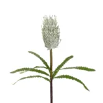 GloboStar® Artificial Garden WHITE STUPA FRUIT BRANCH 21374 Τεχνητό Διακοσμητικό Κλαδί Στίπα Y69cm - Image 2