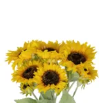 GloboStar® Artificial Garden YELLOW SUNFLOWER BRANCH 21382 Τεχνητό Διακοσμητικό Κλαδί Ηλιοτρόπιο Κίτρινο Y55cm - Image 2