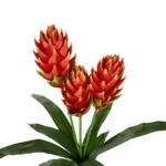 GloboStar® Artificial Garden RED MOON PEACH BRANCH 21391 Τεχνητό Διακοσμητικό Κόκκινο Κλαδί Άνθος Ροδάκινου Y70cm - Image 2