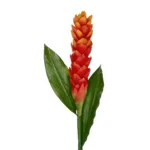 GloboStar® Artificial Garden RED MOON PEACH BRANCH 21392 Τεχνητό Διακοσμητικό Κόκκινο Κλαδί Άνθος Ροδάκινου Y105cm - Image 2