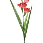GloboStar® Artificial Garden RED GLADIOLUS FLOWER BRANCH 21396 Τεχνητό Διακοσμητικό Κλαδί Γλαδιόλα Y116cm - Image 3