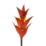 GloboStar® Artificial Garden RED PEACOCK BRANCH 21398 Τεχνητό Διακοσμητικό Κλαδί Κόκκινο πουλί του παραδείσου Y90cm - Image 2