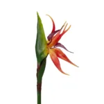 GloboStar® Artificial Garden ORANGE STELIZIA BRANCH 21399 Τεχνητό Διακοσμητικό Κλαδί  Πορτοκαλί Στρελίτζια Y82cm - Image 2