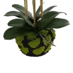 GloboStar® Artificial Garden BUTTERFLY ORCHID BONSAI 21400 Τεχνητό Διακοσμητικό Φυτό Ορχιδέα Μ34 x Π27 x Υ65cm - Image 3