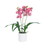 GloboStar® Artificial Garden PINK CHERRY CYMBIDIUM 21402 Διακοσμητικό Φυτό Φούξια Κυμβίδιο Υ60cm