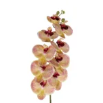 GloboStar® Artificial Garden PING SALMON ORCHID BRANCH 21405 Τεχνητό Διακοσμητικό Κλαδί  Ροζ Ορχιδέα Y95cm - Image 2