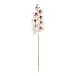 GloboStar® Artificial Garden WHITE ORCHID BRANCH 21406 Τεχνητό Διακοσμητικό Κλαδί Λευκή Ορχιδέα Y95cm