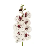 GloboStar® Artificial Garden WHITE ORCHID BRANCH 21406 Τεχνητό Διακοσμητικό Κλαδί Λευκή Ορχιδέα Y95cm - Image 2