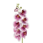 GloboStar® Artificial Garden PINK ORCHID BRANCH 21407 Τεχνητό Διακοσμητικό Κλαδί Ροζ Ορχιδέα Y95cm - Image 2