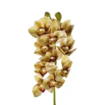 GloboStar® Artificial Garden CHAMPAGNE CYMBIDIUM BRANCH 21408 Τεχνητό Διακοσμητικό Κλαδί Σαμπανί Κυμβίδιο  Y75cm - Image 2