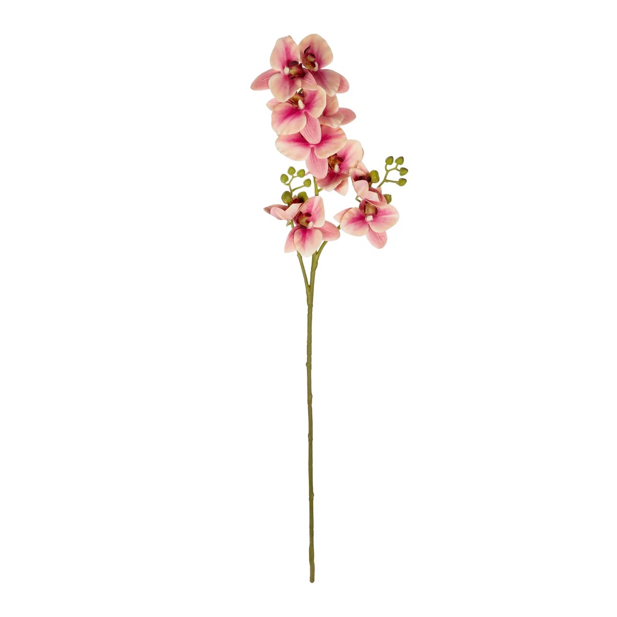 GloboStar® Artificial Garden CHAMPAGNE PINK ORCHID BRANCH 21411 Τεχνητό Διακοσμητικό Κλαδί Σαμπανί Ορχιδέα Y70cm