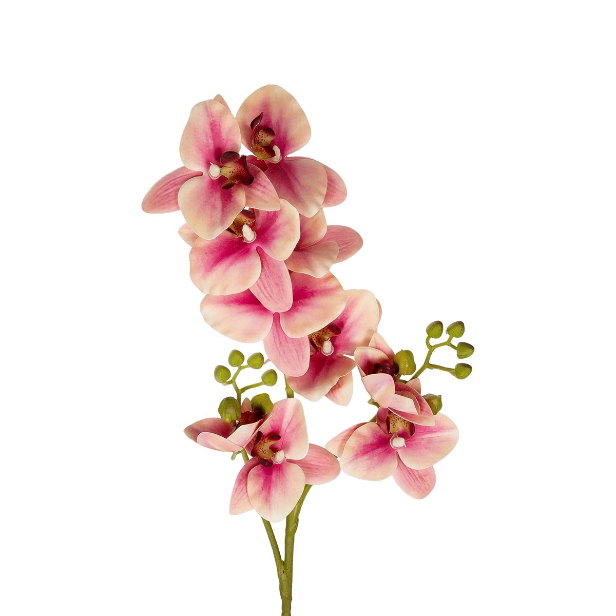 GloboStar® Artificial Garden CHAMPAGNE PINK ORCHID BRANCH 21411 Τεχνητό Διακοσμητικό Κλαδί Σαμπανί Ορχιδέα Y70cm - Image 2