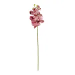 GloboStar® Artificial Garden  PINK ORCHID  BRANCH 21412 Τεχνητό Διακοσμητικό Κλαδί Ροζ Ορχιδέα Y70cm