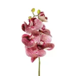 GloboStar® Artificial Garden  PINK ORCHID  BRANCH 21412 Τεχνητό Διακοσμητικό Κλαδί Ροζ Ορχιδέα Y70cm - Image 2