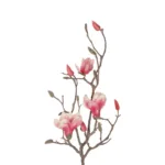 GloboStar® Artificial Garden WHITE - PINK MAGNOLIA 21416 Τεχνητό Διακοσμητικό Κλαδί Ροζ Μανόλια Μ30 x Π13 x Υ110cm - Image 2