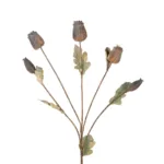 GloboStar® Artificial Garden POPPY FRUIT BRANCH 21432 Τεχνητό Διακοσμητικό Κλαδί Παπαρούνα Y62cm - Image 2