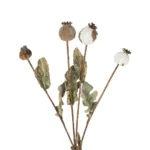 GloboStar® Artificial Garden POPPY FRUIT BRANCH 21433 Τεχνητό Διακοσμητικό Κλαδί Παπαρούνα Y60cm - Image 2