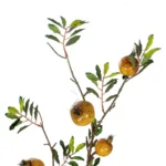 GloboStar® Artificial Garden YELLOW POMEGRANATE  FRUIT BRANCH 21445 Τεχνητό Διακοσμητικό Κίτρινη Κλαδί Ροδιά Y85cm - Image 2