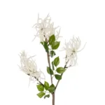 GloboStar® Artificial Garden WHITE AMARANTHUS FRUIT BRANCH 21447 Τεχνητό Διακοσμητικό Κλαδί Λευκός Αμάρανθος Y95cm - Image 2