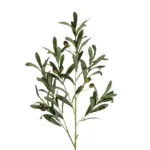 GloboStar® Artificial Garden OLIVE FRUIT BRANCH 21450 Τεχνητό Διακοσμητικό Κλαδί Ελίας Y92cm - Image 2