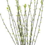 GloboStar® Artificial Garden GREEN WILLOW FLOWER BRANCH 21458 Τεχνητό Διακοσμητικό Κλαδί Λευκή Ιτιά Y86cm - Image 2