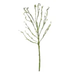 GloboStar® Artificial Garden BIG SPROUT BLOSSOM BRANCH 21461 Τεχνητό Διακοσμητικό Κλαδί Πράσινο Λάχανο Y150cm