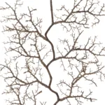 GloboStar® Artificial Garden SMALL CORAL 21463 Τεχνητό Διακοσμητικό Κλαδί Καφέ Μ40 x Π7 x Υ142cm - Image 2