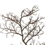 GloboStar® Artificial Garden EXTRA LARGE COLAR BRANCH 21464 Τεχνητό Διακοσμητικό Κλαδί Koράλι Y110cm - Image 2