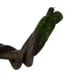 GloboStar® Artificial Garden VINE BRANCH 21465 Τεχνητό Διακοσμητικό Κλαδί Αμπελιού Y170cm - Image 4