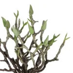 GloboStar® Artificial Garden GREEN ORCHID BOUQET 21466 Τεχνητό Διακοσμητικό Μπουκέτο Πράσινη Ορχιδέα Y34cm - Image 2